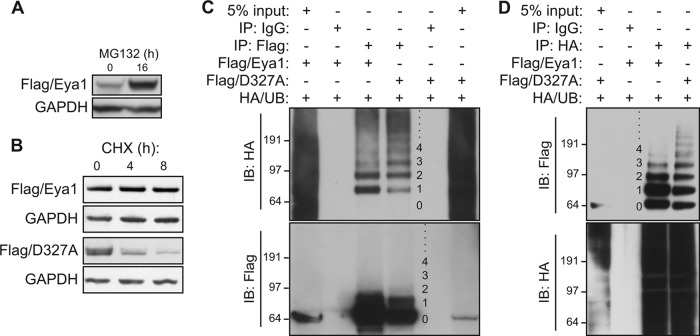 FIG 1