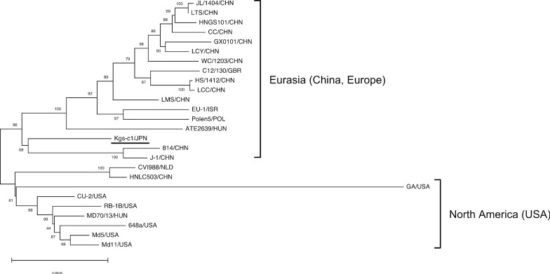 Fig. 1