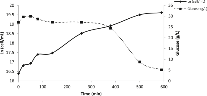 Fig. 1