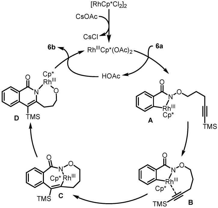 Scheme 8