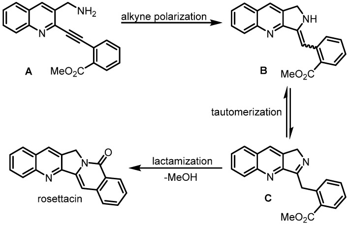 Scheme 12