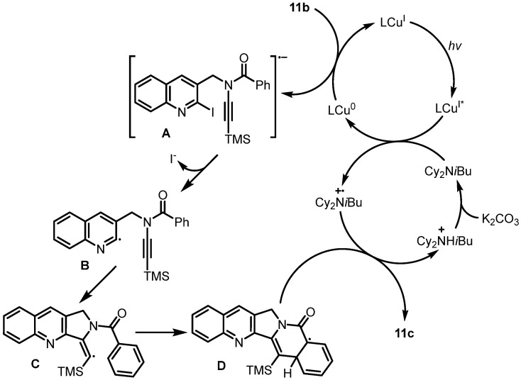 Scheme 19