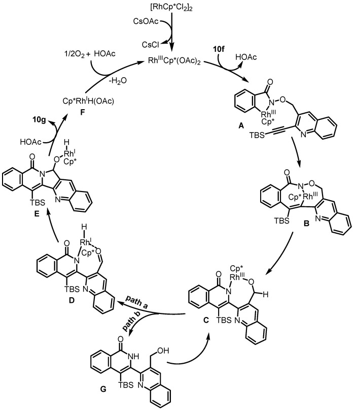 Scheme 17