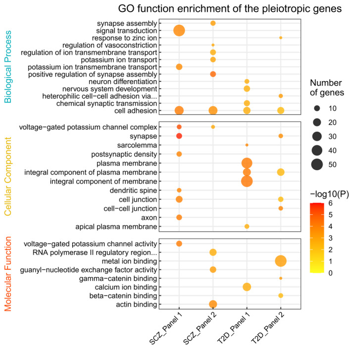 FIGURE 4