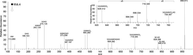 Fig. 5a