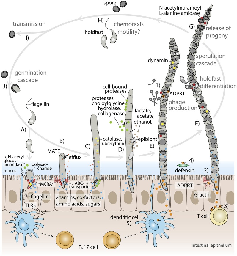 Figure 6.