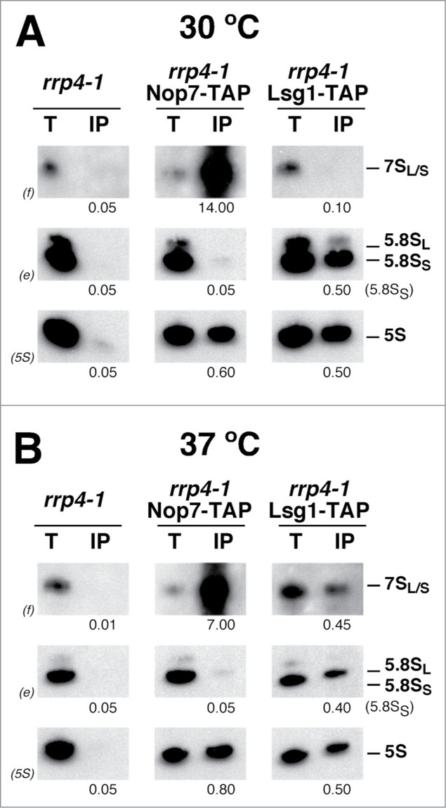 Figure 6.