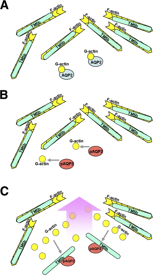 Figure 10.