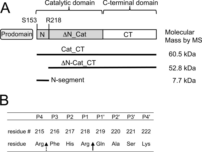 FIGURE 1.