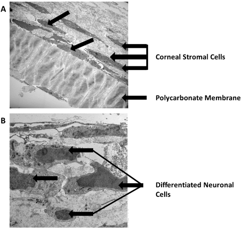 Figure 2: