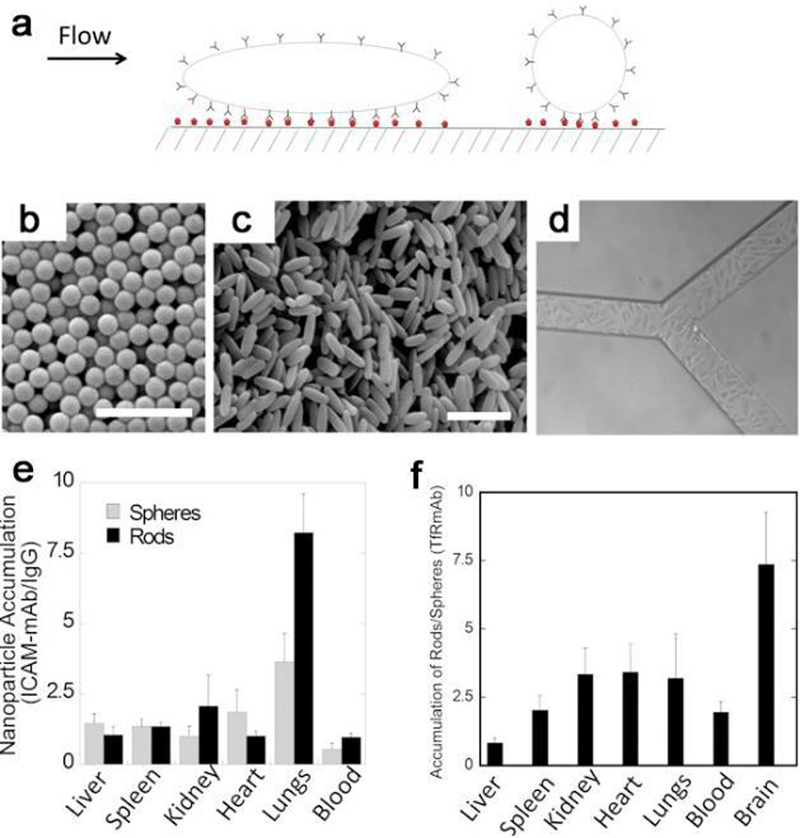 Figure 28.