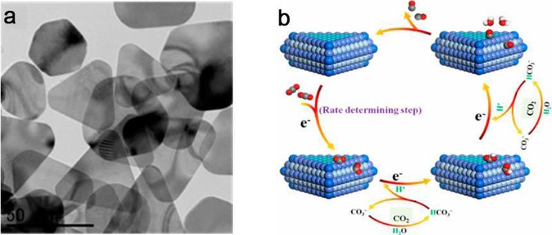 Figure 19.