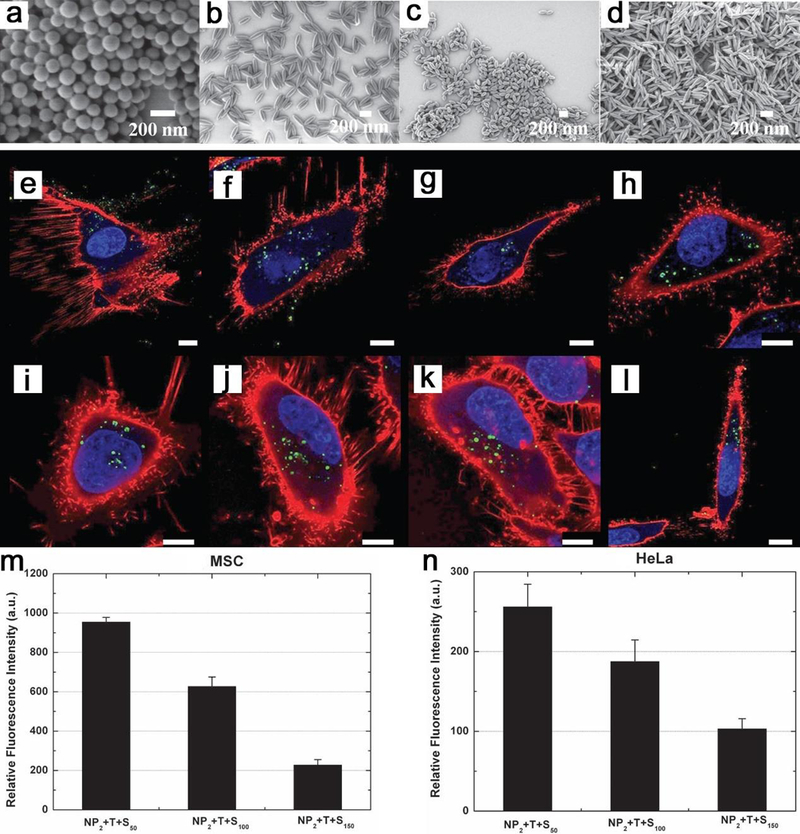 Figure 27.