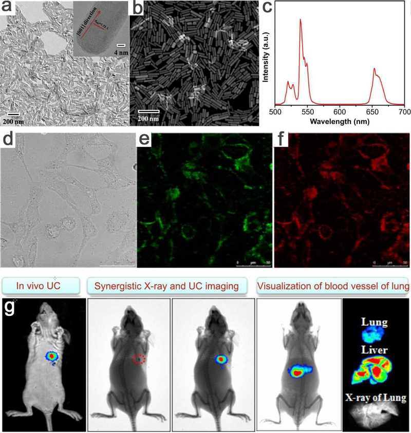 Figure 22.