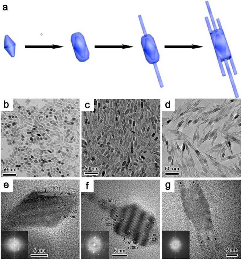 Figure 11.