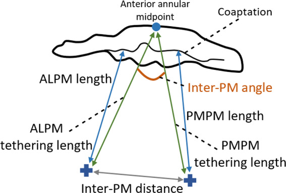 FIGURE 9