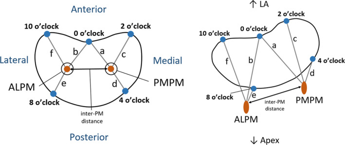 FIGURE 10