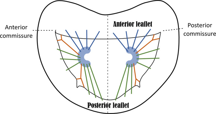 FIGURE 11