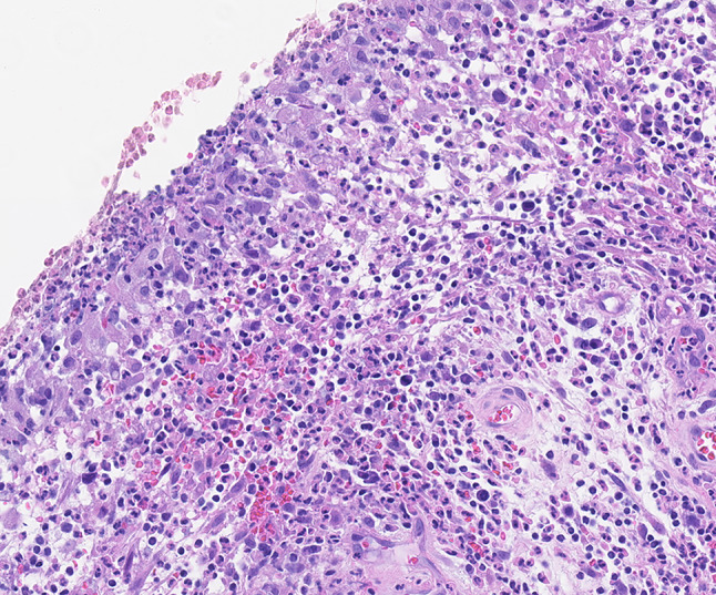 Fig. 4