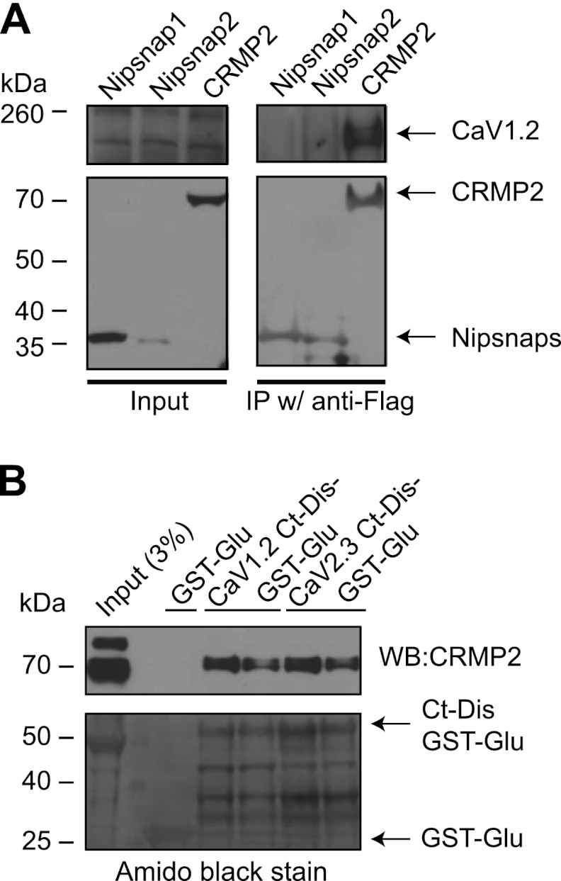 FIGURE 5.