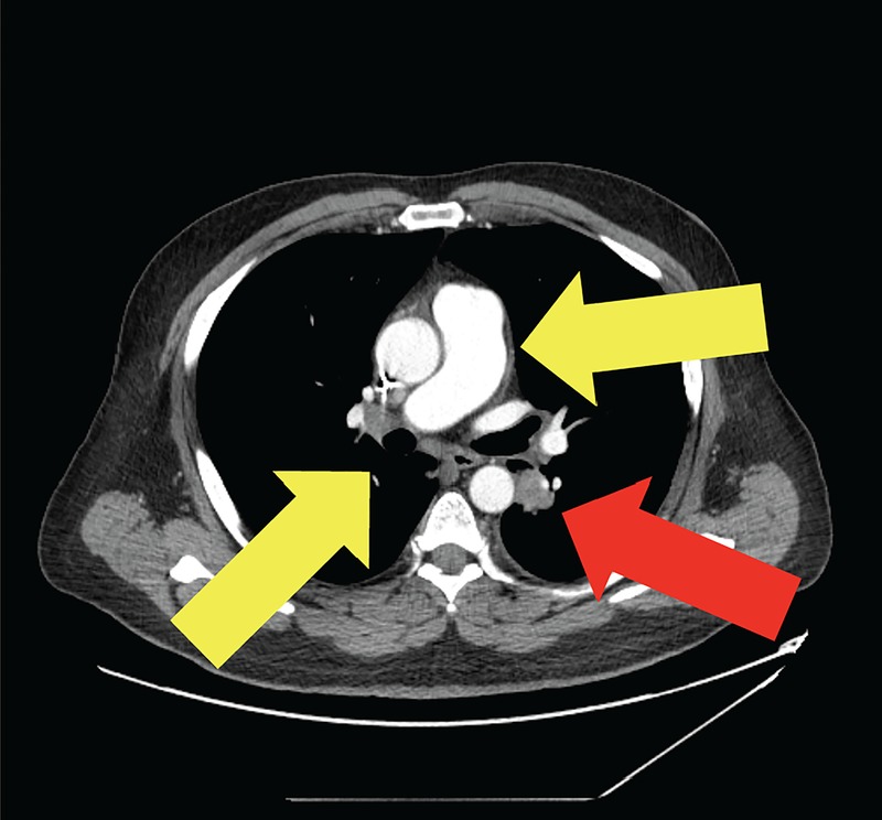 Figure 3