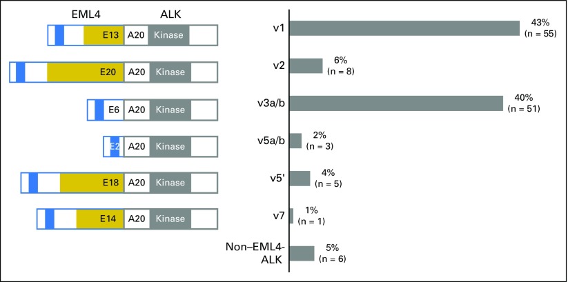 Fig 1.