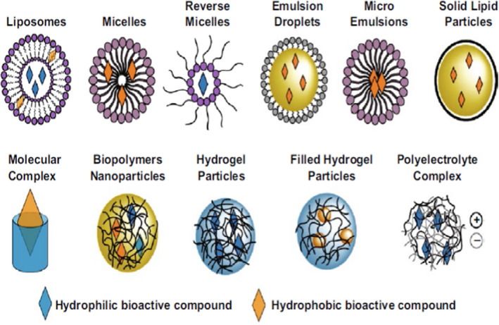 FIGURE 2