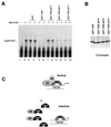 FIG. 7