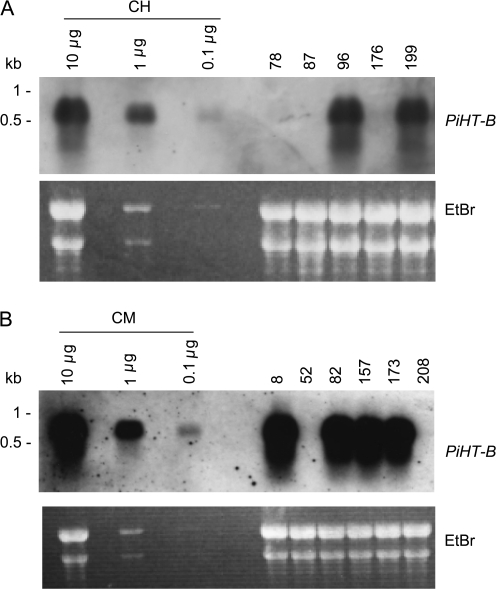 Fig. 5.