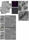 Extended Data Figure 3