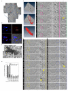 Extended Data Figure 2