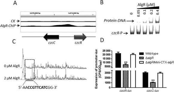 Figure 3.