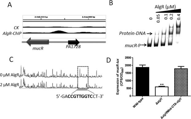 Figure 4.