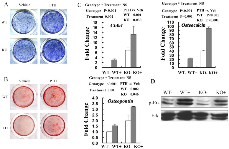 Fig 6