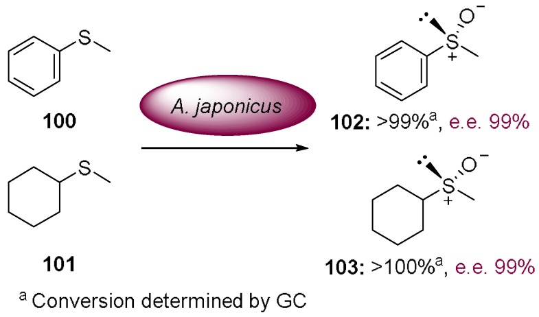 Scheme 30