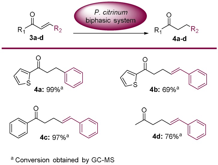 Scheme 3