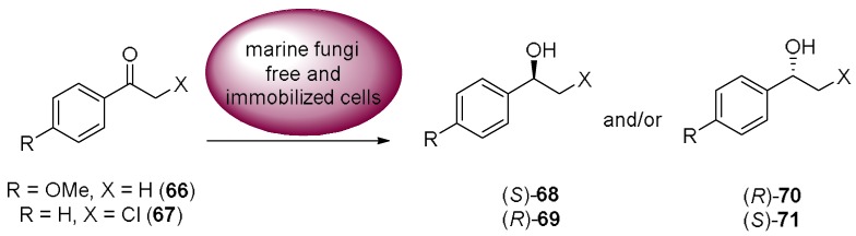 Scheme 18