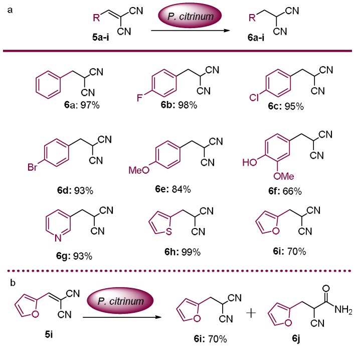 Scheme 4