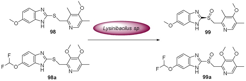 Scheme 29