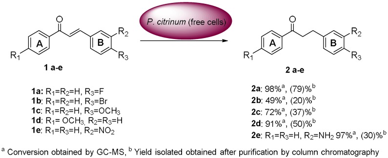 Scheme 2