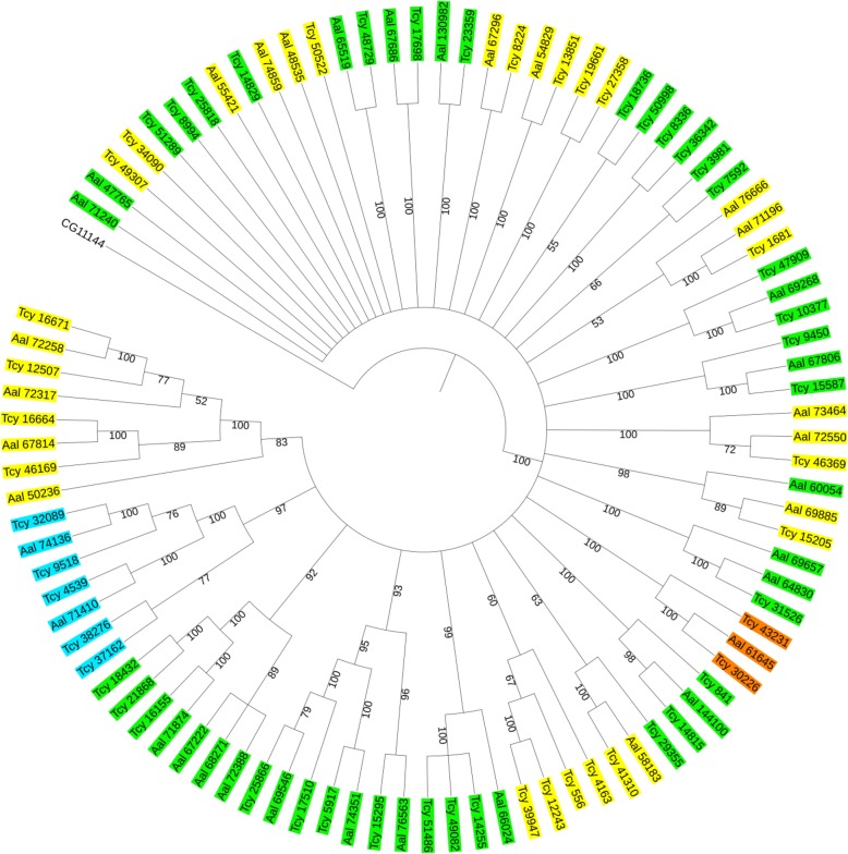 Fig. 10