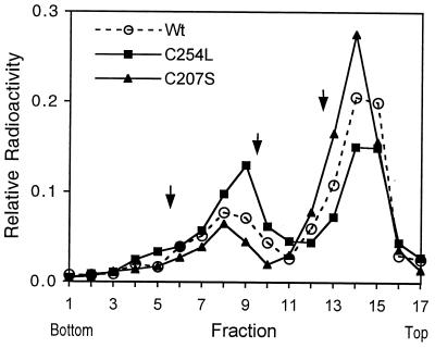 FIG. 3