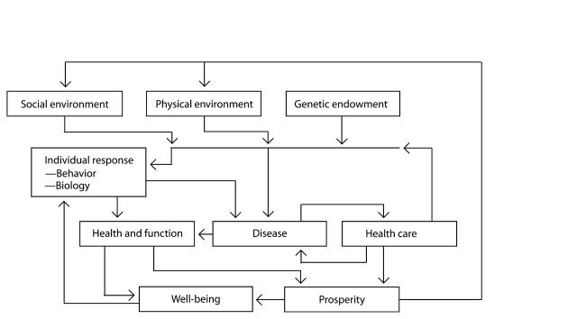 FIGURE 1—