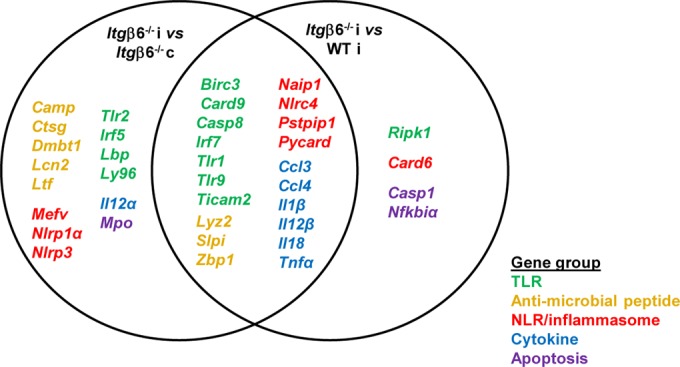 FIG 3