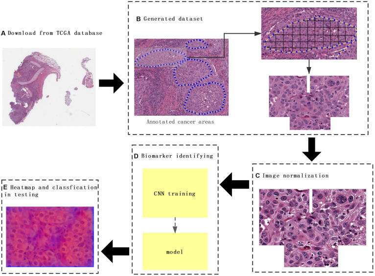 FIGURE 1