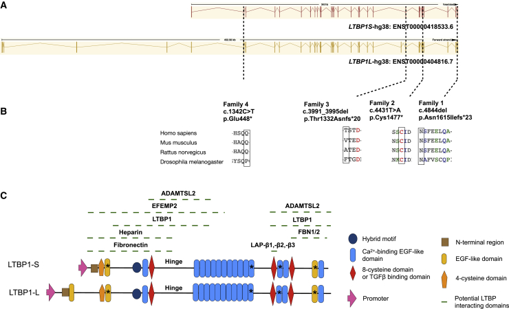 Figure 2