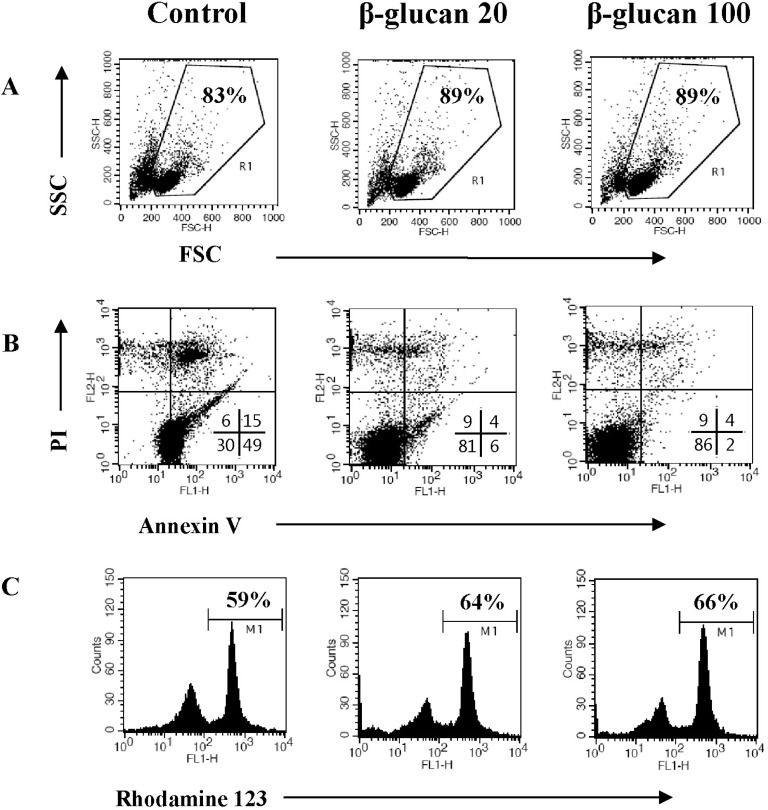 Fig. 3