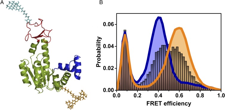 Fig. 1.