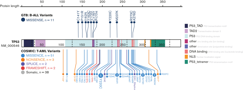 Figure 2.