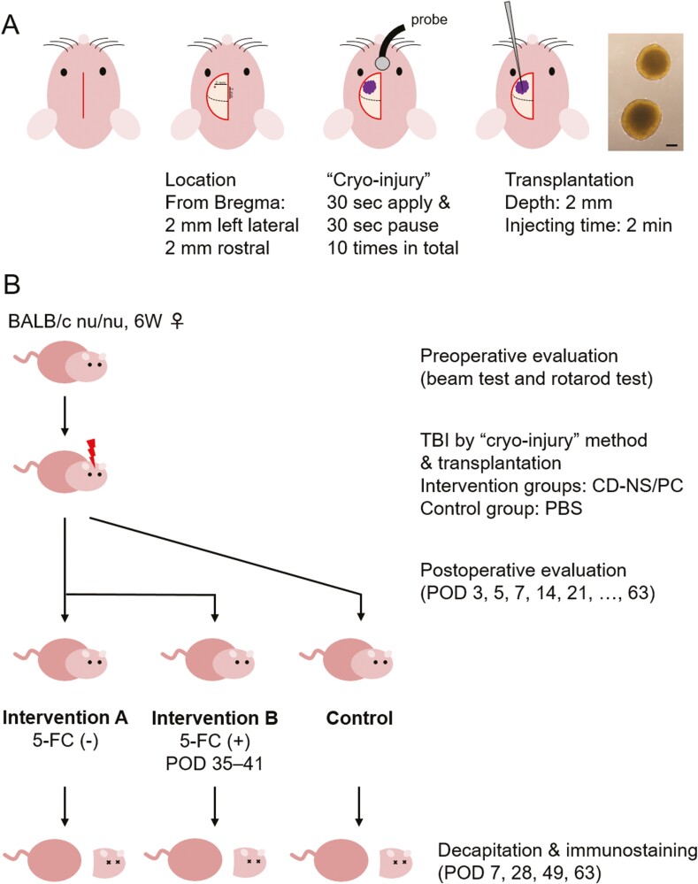 Figure 2.